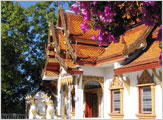 Chiang Mai